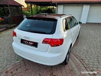 Obraz 3
