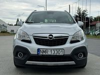 Obraz 2