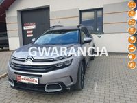 Obraz 1