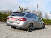 Obraz 2
