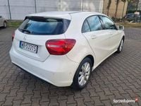 Obraz 3