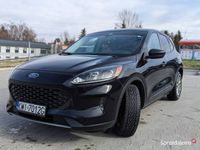 używany Ford Escape 1.5 2wd