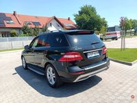 Obraz 3