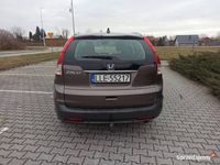 Obraz 3