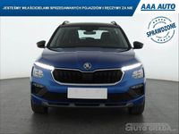 Używany Skoda Kamiq 2024 Błękitny SUV