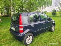 używany Fiat Panda 2009/2010 rok, poj. 1.2 benzyna,