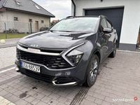 Obraz 1