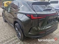 Używany Lexus NX350h 2025