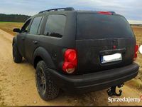 Obraz 3
