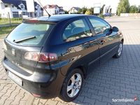 Obraz 3