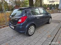 Obraz 3