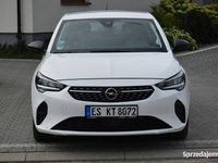Używany Opel Corsa 2023 Biały Hatchback