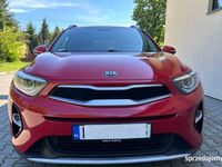 Obraz 1