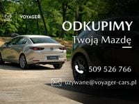 Obraz 3