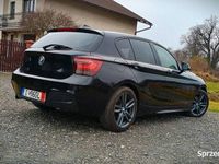 Obraz 3