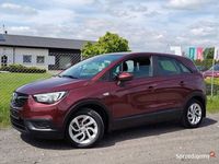 Używany Opel Crossland X 120 KM (88 kW) 2019 Wiśniowy SUV
