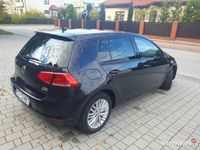 Obraz 3