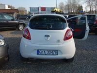 Obraz 3