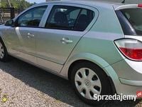 Obraz 3