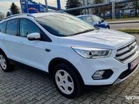 Używany Ford Kuga 2019 Biały SUV