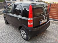 używany Fiat Panda 