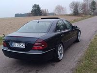 Obraz 2