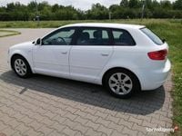 Obraz 3