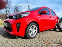 używany Kia Picanto 