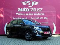 Obraz 1