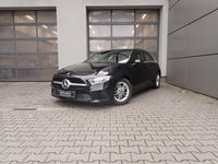 Obraz 3