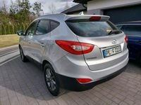 Obraz 3