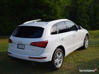 Używany Audi Q5 2013 SUV