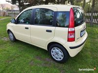 używany Fiat Panda 