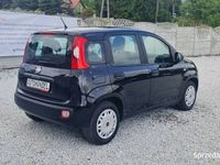 używany Fiat Panda 