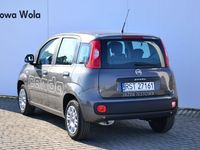 używany Fiat Panda 1.2dm 69KM 2019r. 100km