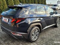 używany Hyundai Tucson Modern 1.6 T-GDi • SALON POLSKA • 31.000 km …