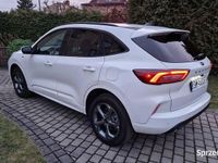 używany Ford Escape (Kuga) 2.0 benzyna 252 KM, automat, ST-Line