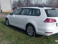 Obraz 3