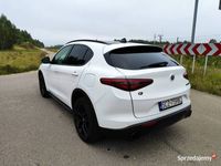 Obraz 3