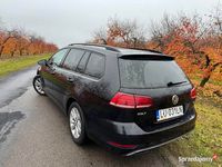 używany VW Golf VII Comfortline 1.6 TDI salon Polska, bezwypadkowy