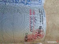 używany Audi A3 8p z LPG