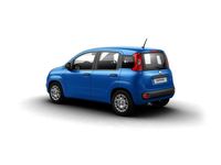 używany Fiat Panda MY25 Pandina Icon 1.0 70 KM