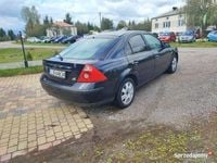 Obraz 3