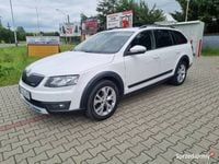 Używany Skoda Octavia Scout 4x4 2016 Biały Kombi