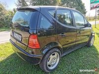 Obraz 3