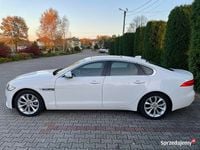 Używany Jaguar XF 247 KM (181 kW) 2019 Biały Sedan/Limuzyna