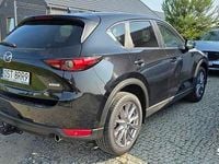 Obraz 3