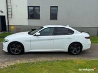 Używany Alfa Romeo Giulia 2016 Biały Sedan/Limuzyna