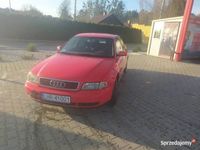 Obraz 3