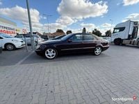 Obraz 3